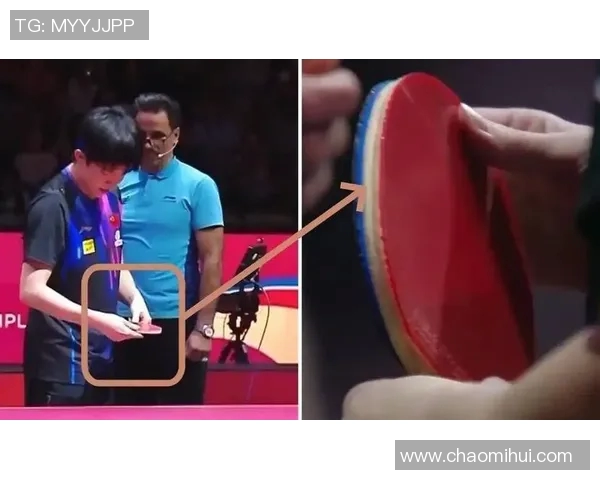 重庆乒乓球队的力量揭秘：从训练到比赛的全景探索与背后故事